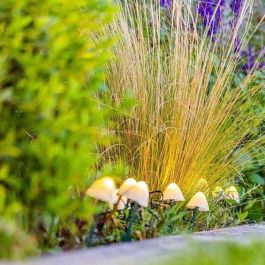 10 mini setas con luz solar para pinchar - LUMISKY - CHAMPY - 3,8 m - Iluminación de caminos - LED blanco cálido 10 mini setas con luz solar para pinchar - LUMISKY - CHAMPY - 3,8 m - Iluminación de caminos - LED blanco cálido