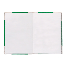 Fernandes Libro Cartone Cosido Din A6+ Liso 50 Hojas 100 Gr Verde