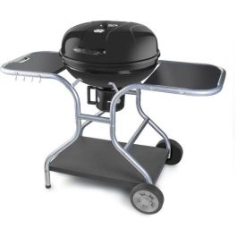 Fieldmann FZG 1014 Barbacoa de carbón Fieldmann FZG 1014 Barbacoa de carbón Precio: 173.5000003. SKU: B12BBJ7PRS