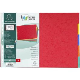 Exacompta Separadores Nature Future Cartulina Lustrada 400 gr 5 Posiciones A3 Colores Precio: 5.50000055. SKU: B1G67NSMJN
