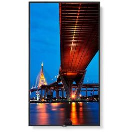 Monitor NEC 60006086 4K Ultra HD 65"