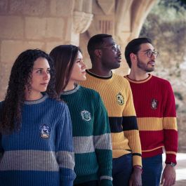 Jersey Unisex Harry Potter Verde