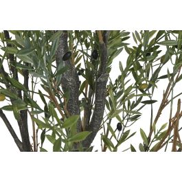 DKD Home Decor Árbol de Olivo Verde para Decoración del Hogar – Material PE, Dimensiones 210 cm Alto x 80 cm Ancho x 80 cm Fondo DKD Home Decor Árbol de Olivo Verde para Decoración del Hogar – Material PE, Dimensiones 210 cm Alto x 80 cm Ancho x 80 cm Fondo