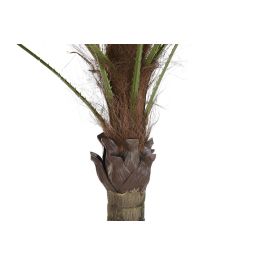 Árbol DKD Home Decor Palmera Poliéster Polipropileno (100 x 100 x 205 cm)