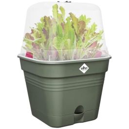 Elho ELH8711904515355 Maceta Cuadrada Ø20 de Plástico Verde Hoja para Plantas y Flores, Ideal para Jardín, Balcón o Interior Elho ELH8711904515355 Maceta Cuadrada Ø20 de Plástico Verde Hoja para Plantas y Flores, Ideal para Jardín, Balcón o Interior