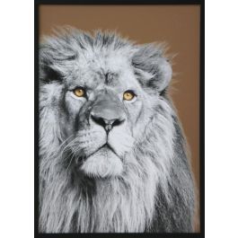 Cuadro DKD Home Decor Cristal Poliestireno 67 x 3 x 93 cm (3 Piezas) Precio: 213.69000026. SKU: S3028155