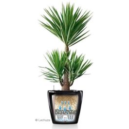 Maceta LECHUZA Classico Premium 60 - juego completo, antracita metalizado Maceta LECHUZA Classico Premium 60 - juego completo, antracita metalizado