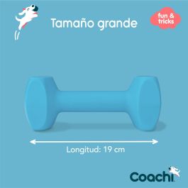 Coachi Training Dumbbell Grande Azul Claro - Juguete de Recuperación Flotante y Resistente para Adiestramiento de Perros y Cachorros Coachi Training Dumbbell Grande Azul Claro - Juguete de Recuperación Flotante y Resistente para Adiestramiento de Perros y Cachorros Precio: 13.78999974. SKU: B12TBT4JFF