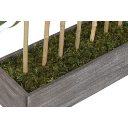 DKD Home Decor Planta Oriental Bambú Verde 190 cm Alto x 100 cm Ancho x 60 cm Largo de PE y Madera