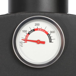 Livoo Horno para Pizza y Tarta Flambeada DOC331