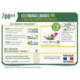 Fertilizante Rápido Orquídeas 250ml Fertilizante Rápido Orquídeas 250ml
