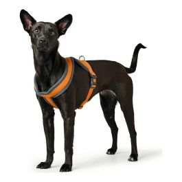 Hunter Arnés London Comfort para Perro, Talla XS-S, Pecho 39-47 cm, Color Naranja, de Poliéster Suave y Resistente, con Cierre de Seguridad. Precio: 6.69000046. SKU: B16FFFQ7YJ