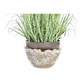 Planta DKD Home Decor Rosa Palo Rosa 20 x 78 x 20 cm (2 Unidades) Planta DKD Home Decor Rosa Palo Rosa 20 x 78 x 20 cm (2 Unidades)