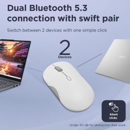 Ratón Lenovo GY51S61907 Gris 2400 dpi