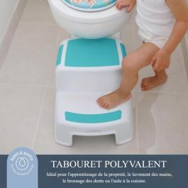 Dreambaby DRE9312742406851 Taburete con Escalera 2 UP Antideslizante Texturizado Hasta 80 kg para Niños y Adultos Aqua