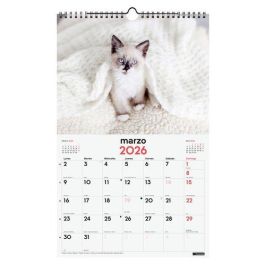 Calendario (2026) Finocam Pared Espiral Imagenes Mensual Para Escribir 250X400 Gatitos Precio: 8.98999992. SKU: B1A2PGZRKT