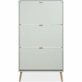 Zapatero VIGO 49A Verde pastel Patas de madera maciza 70 x 24 x 125 cm Precio: 145.99377452. SKU: B1EQA5AYF3