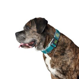 Collar para Perro Hunter Plus Hilo turquoise Turquesa Talla XL (45-70 cm) Precio: 10.69000031. SKU: S6102830