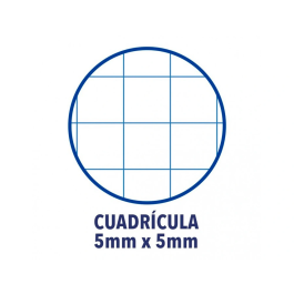 Oxford Recambio/Bloc Din A4+ 80 Hojas 90 Gr Cuadro 5 mm 4 Taladros Color Turquesa