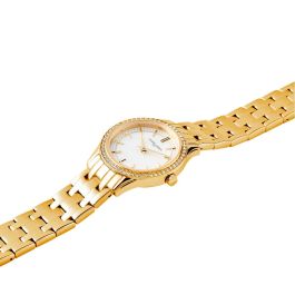 Reloj Mujer Pierre Cardin CF.0611.SE.G (Ø 30 mm)