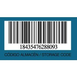 Inde Set 6 Copas de Champagne "Sen" 22 cl (4 x 5 x 22 cm)