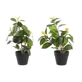 Planta Decorativa DKD Home Decor Verde PP PE Ficus (2 Unidades) (21 x 18 x 30 cm) Precio: 11.99000011. SKU: B18VJSLJA7
