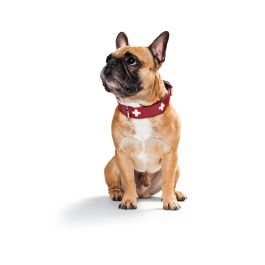 Collar Swiss 38-43.5 cm Rojo-Negro Collar Swiss 38-43.5 cm Rojo-Negro