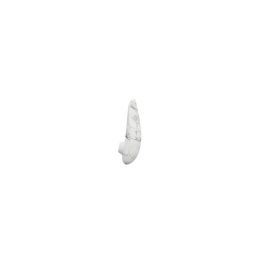 Succionador de Clítoris Womanizer Blanco Succionador de Clítoris Womanizer Blanco