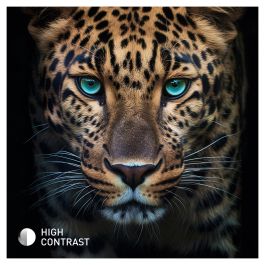 Panasonic TB-24S40AEZ Smart TV LED 24" HD Wifi Negro