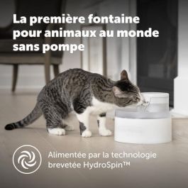 Fuente de agua - PETSAFE - OUTLAST - 1,8 L - Blanco Fuente de agua - PETSAFE - OUTLAST - 1,8 L - Blanco