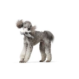 Hunter Juguete Para Perro Foca M Peluche 100% Reciclado Suave Sin Sonido GREY Precio: 10.69000031. SKU: S6102391