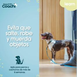 Arnés para Perro Coachi Precio: 7.79000057. SKU: B1DNZV9GVG