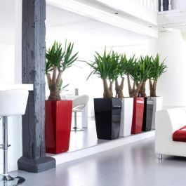 Lechuza LEC4008789181930 Maceta Cubico Premium 40 Rojo con Reserva de Agua Kit Completo Lechuza LEC4008789181930 Maceta Cubico Premium 40 Rojo con Reserva de Agua Kit Completo