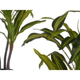 Ibergarden Planta con Maceta Hoja Ancha Pequeña 90 cm (Maceta: 12x12x12 cm) Verde Plástico