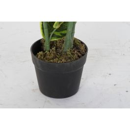 DKD Home Decor Planta Verde 40 x 40 x 120 cm