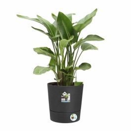 Elho Greensense Aqua Care Round 43 - Gris - Ø 43 x H 43 cm - interior/exterior - 100% reciclado