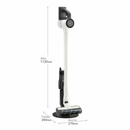 Aspirador Escoba Ciclónico LG A9C-SLIM1C 150 W