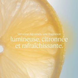 L'Occitane En Provence Crema Manos Verbena Cítrica 30ml Hidratante, Absorción Rápida, Efecto Frescor, Reduce Sudoración.