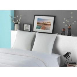 Almohada DODO LUXOR 60x60 cm - 100% Algodón - Efecto plumón Almohada DODO LUXOR 60x60 cm - 100% Algodón - Efecto plumón