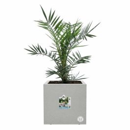 Elho Jardinera Vivo Next Square 40 Gris Ø 39 x H 38 cm 100% reciclado ELH8711904497859