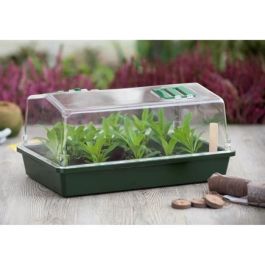 Nature Terrina de Invernadero Rígida con Cubierta Transparente Ventilada, Aireadores Deslizantes y Control de Humedad 37.5x24x18 cm Precio: 25.4999998. SKU: B1669LYLCX