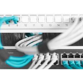 Digitus Regleta de Cepillos para Cables 1U, Panel Ciego para Armarios de 483mm (19"), Apertura 24x423mm, Gris