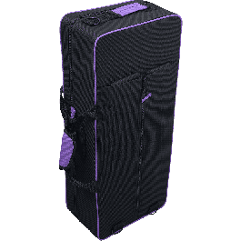 SML Saxofón Alto A420-II Dorado Lacado