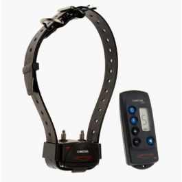 Set de entrenamiento remoto CANICOM 200 Set de entrenamiento remoto CANICOM 200 Precio: 121.49999983. SKU: B13J8ZZSYK