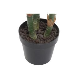 Planta DKD Home Decor Verde 80 x 100 x 80 cm