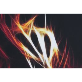 DKD Home Decor Cuadro Tigre Negro Multicolor Aluminio MDF 80 x 80 cm (2 Unidades)