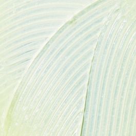 Kiehl'S LIP BALM skin protectant #1 Bálsamo Labial Protector, Calma e Hidrata, 15 ml