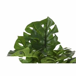 Planta Decorativa DKD Home Decor Monstera Verde PP PE (48 x 42 x 51 cm)