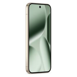 Google Pixel 10 Pro XL 256GB Verde