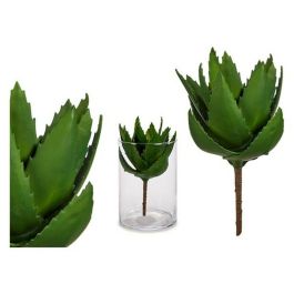 Ibergarden Planta Aloe Vera en maceta de plástico verde, 13x24.5x14 cm (18 Unidades) Precio: 63.50000019. SKU: S3607244